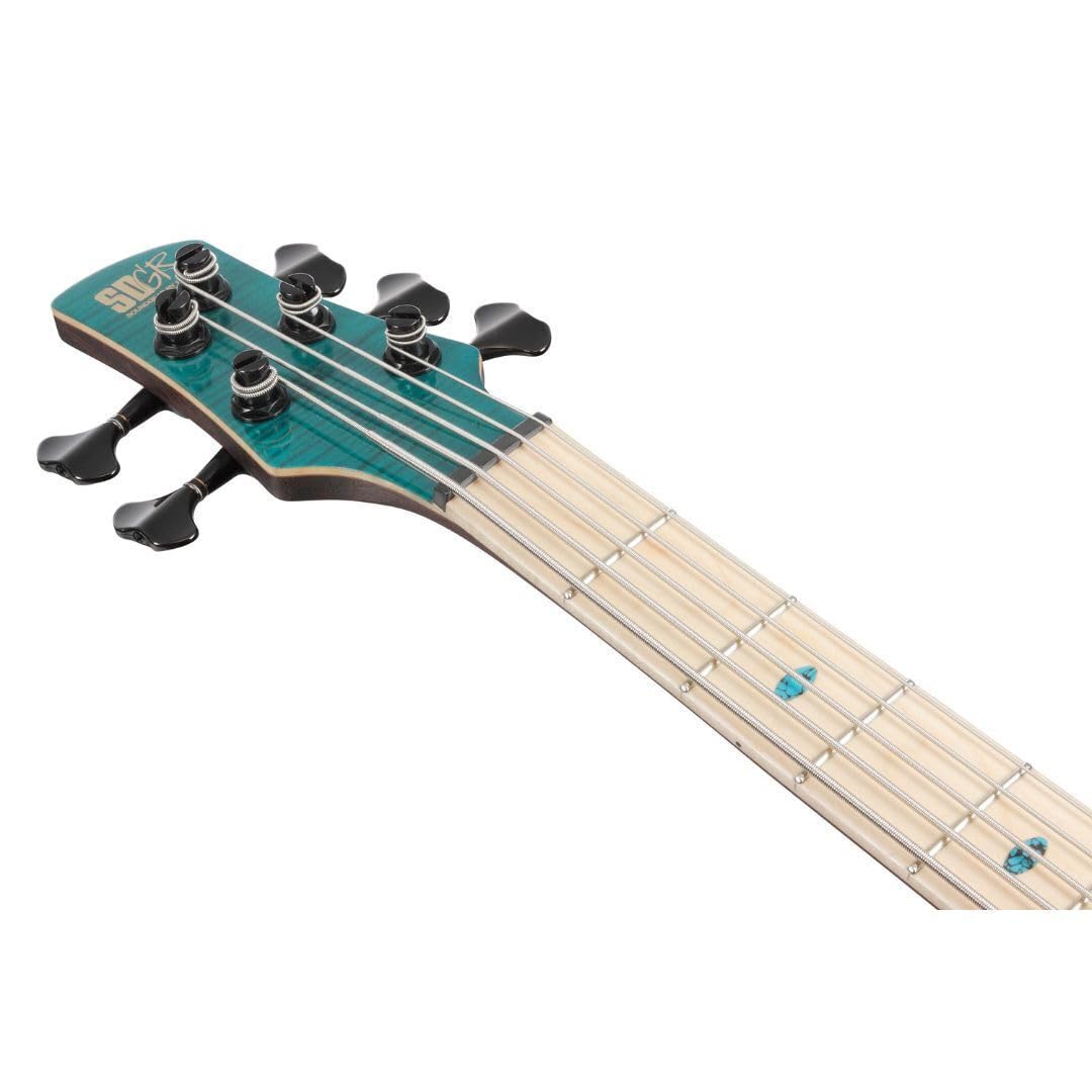 Amazon | Ibanez/Premium Series SR1425B-CGL (Caribbean Green
